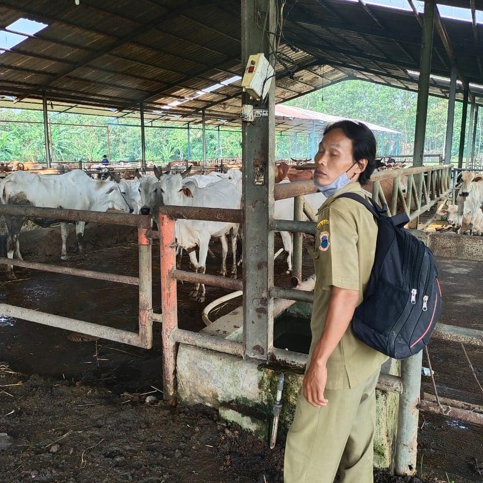 Pelayanan Kesehatan Hewan Desa Muara Dua Kecamatan Cikulur Dinas