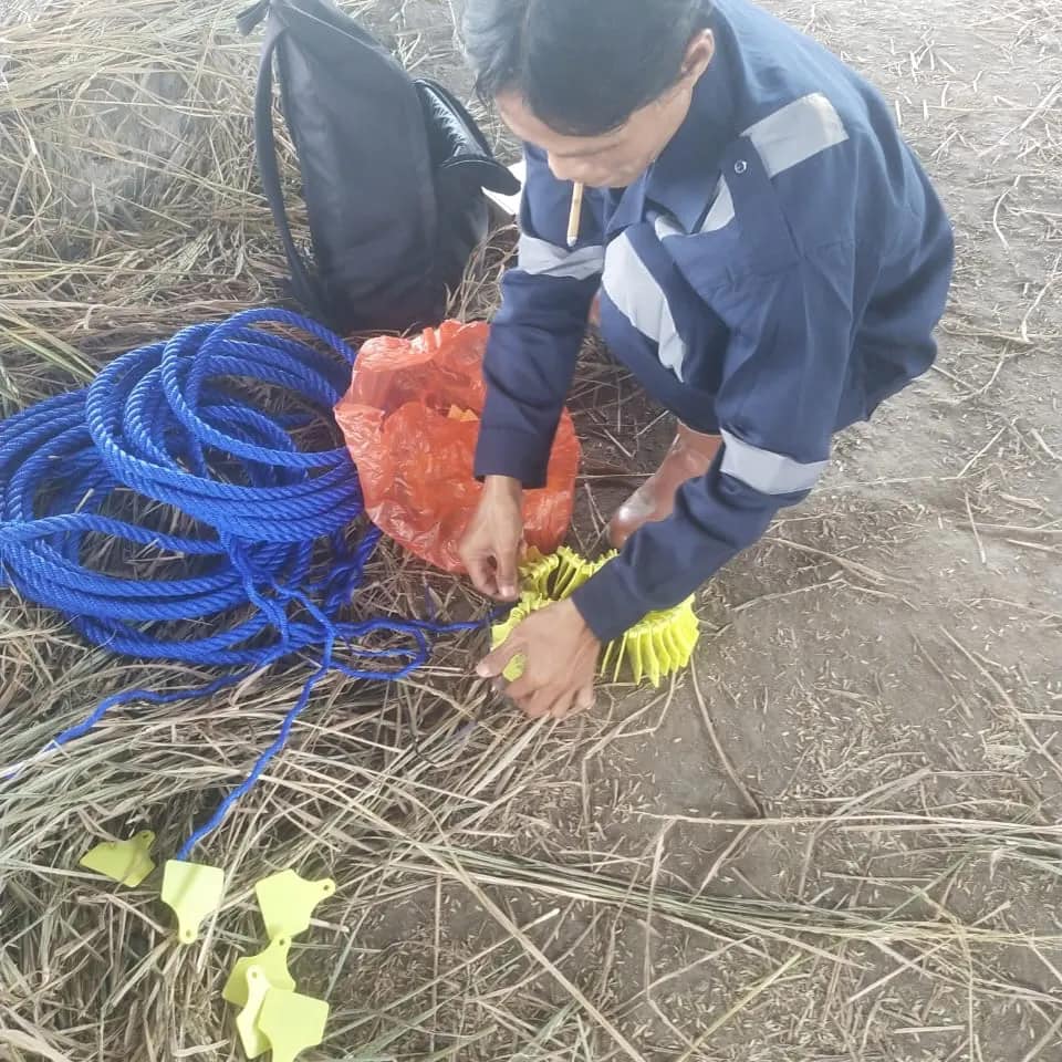 Penandaan Pendataan Ternak Dinas Peternakan Dan Kesehatan Hewan