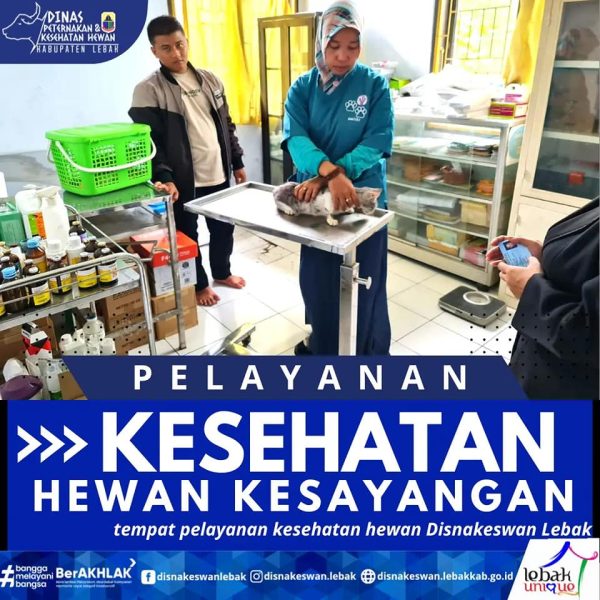 PELAYANAN KESEHATAN HEWAN KESAYANGAN TEMPAT PELAYANAN KESEHATAN HEWAN