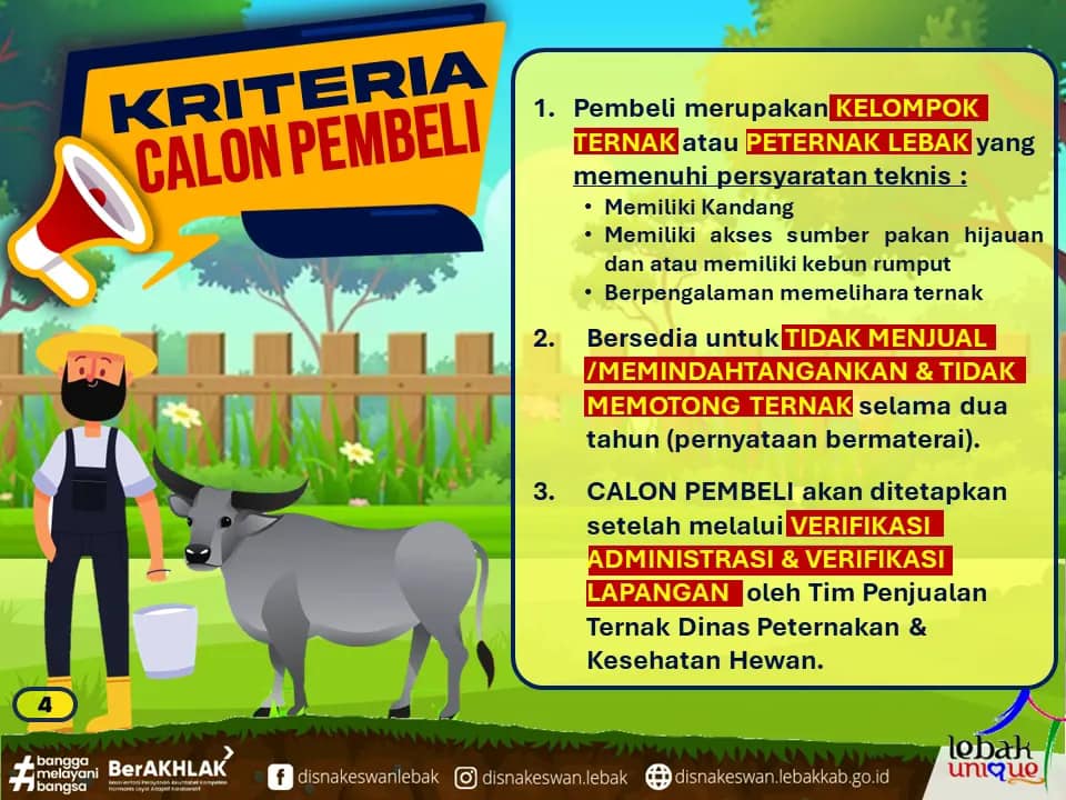 INFORMASI PENJUALAN BIBIT TERNAK KERBAU UPTD PEMBIBITAN TERNAK