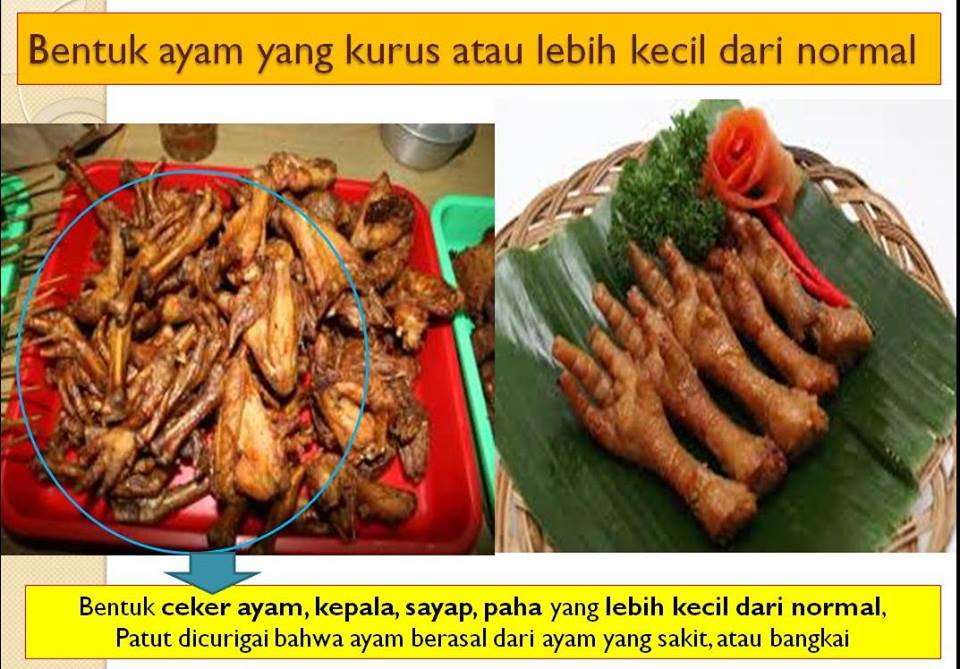 13240128_10205266978668072_6989059365556580301_n