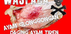 CIRI-CIRI DAGING AYAM GLONGGONGAN, DAGING AYAM TIREN & DAGING AYAM BERFORMALIN