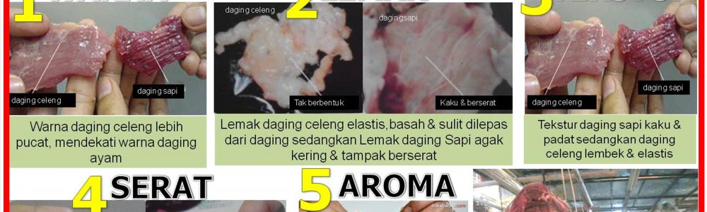 TIPS MEMBEDAKAN DAGING CELENG DAN DAGING SAPI