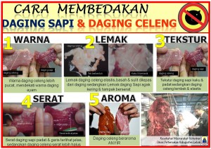 daging celeng