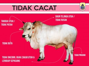 TIDAK CACAT