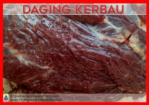 DAGING KERBAU