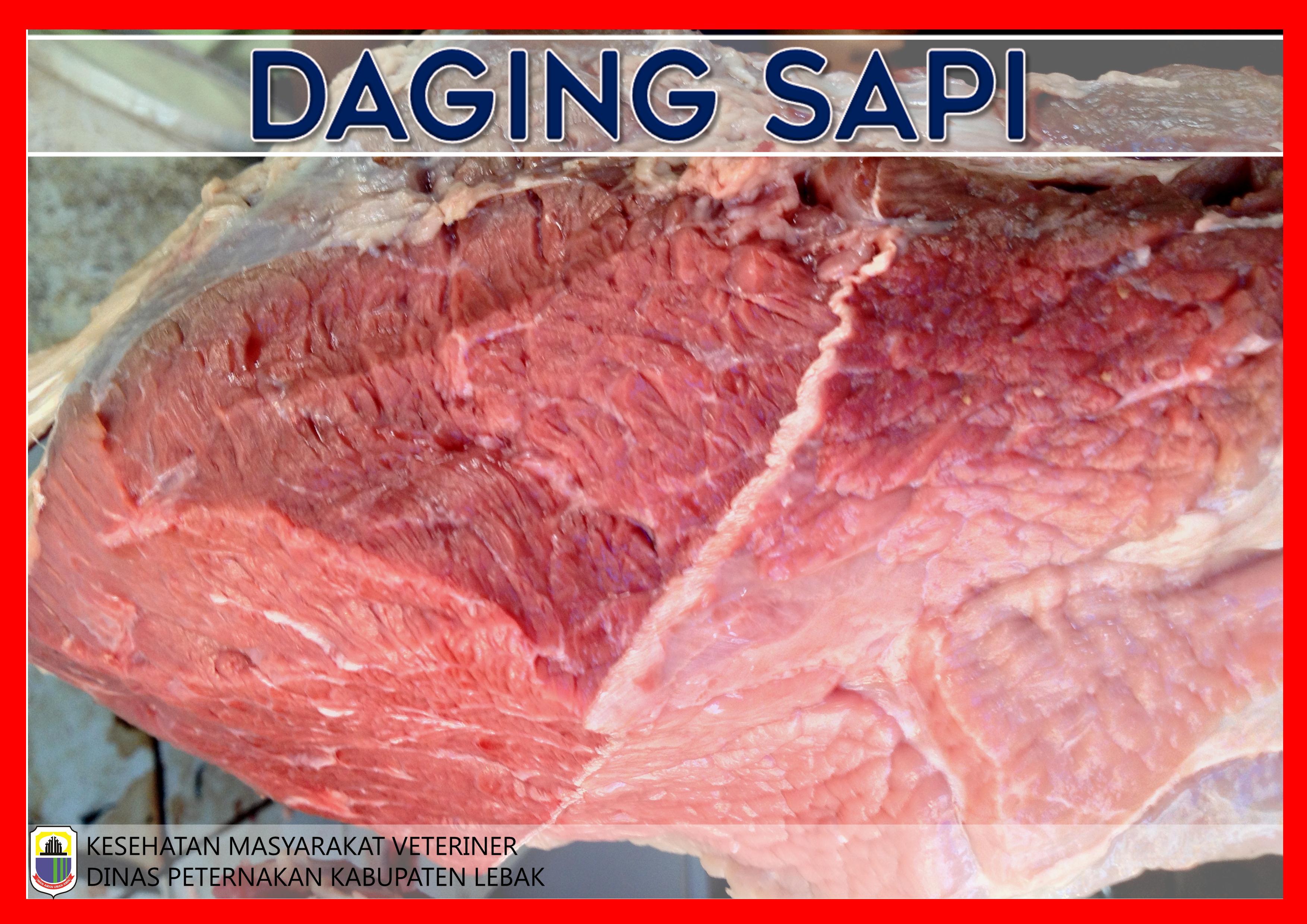DAGING SAPI