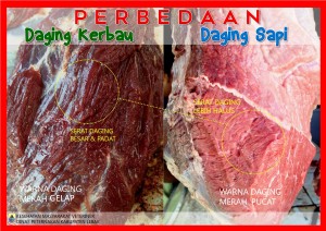 PERBEDAAN DAGING SAPI & KERBAU