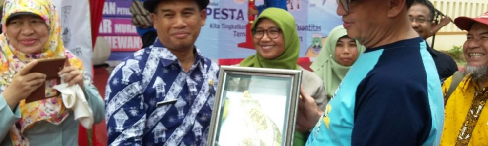 KABUPATEN LEBAK JUARA UMUM KONTES KERBAU TINGKAT PROVINSI BANTEN 2017