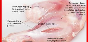 AYO……CERDAS MEMILIH DAGING YANG ASUH [Aman, Sehat, Utuh dan Halal]