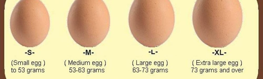 TELUR TETAS