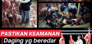 PASTIKAN KEAMANAN DAGING YANG BEREDAR DISNAKESWAN LAKUKAN PENGAWASAN DI RUMAH POTONG HEWAN ( RPH ) DAN TEMPAT PEMOTONGAN HEWAN ( TPH)