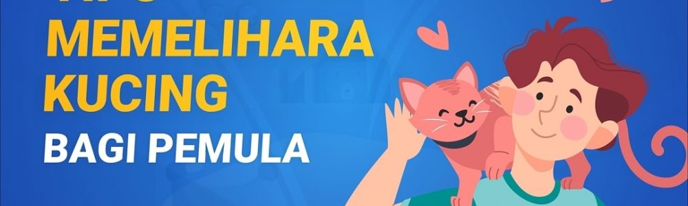 TIPS MEMELIHARA KUCING BAGI PEMULA