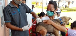 CEGAH RABIES TIM KESEHATAN HEWAN DINAS PETERNAKAN DAN KESEHATAN HEWAN VAKSINASI 58 EKOR ANJING DAN KUCING MILIK WARGA DI CLUSTER PARK LANE – CITRA MAJA RAYA