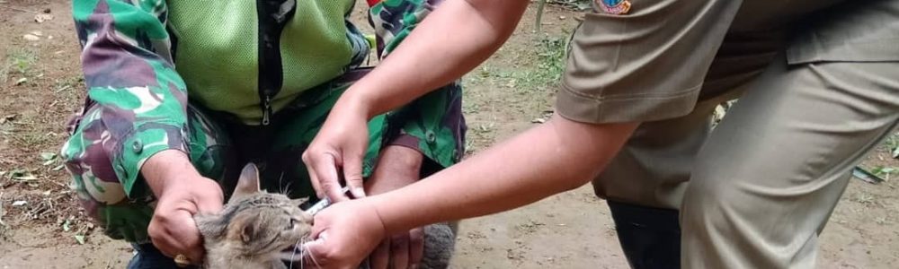 TINGKATKAN CAKUPAN VAKSINASI RABIES PETUGAS PARAMEDIS VETERINER GANDENG BABINSA KECAMATAN CIBEBER