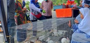 PASAR TANI PRODUK LOKAL LEBAK