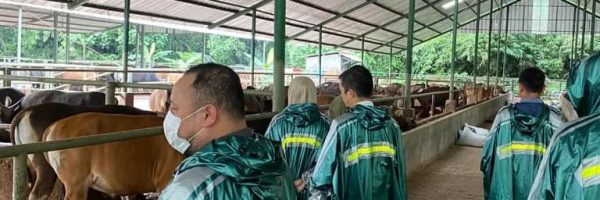 GIAT KEWASPADAAN PENYAKIT MULUT DAN KUKU ( PMK ) BERSAMA KEJAKSAAN NEGERI LEBAK DI KECAMATAN WARUNGGUNUNG