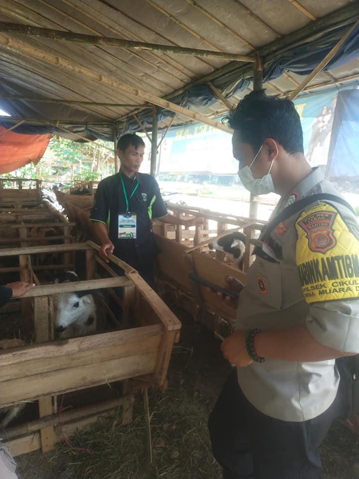 PENGAWASAN KESEHATAN HEWAN KURBAN DI KABUPATEN LEBAK JELANG IDUL ADHA ...