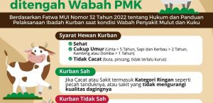 WAJIB TAHU ! SYARAT HEWAN KURBAN DITENGAH WABAH PMK