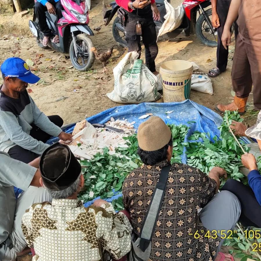 PELATIHAN PETERNAKAN PETERNAK SAPI DI DESA CILANGKAP-WANASALAM PRAKTIK ...