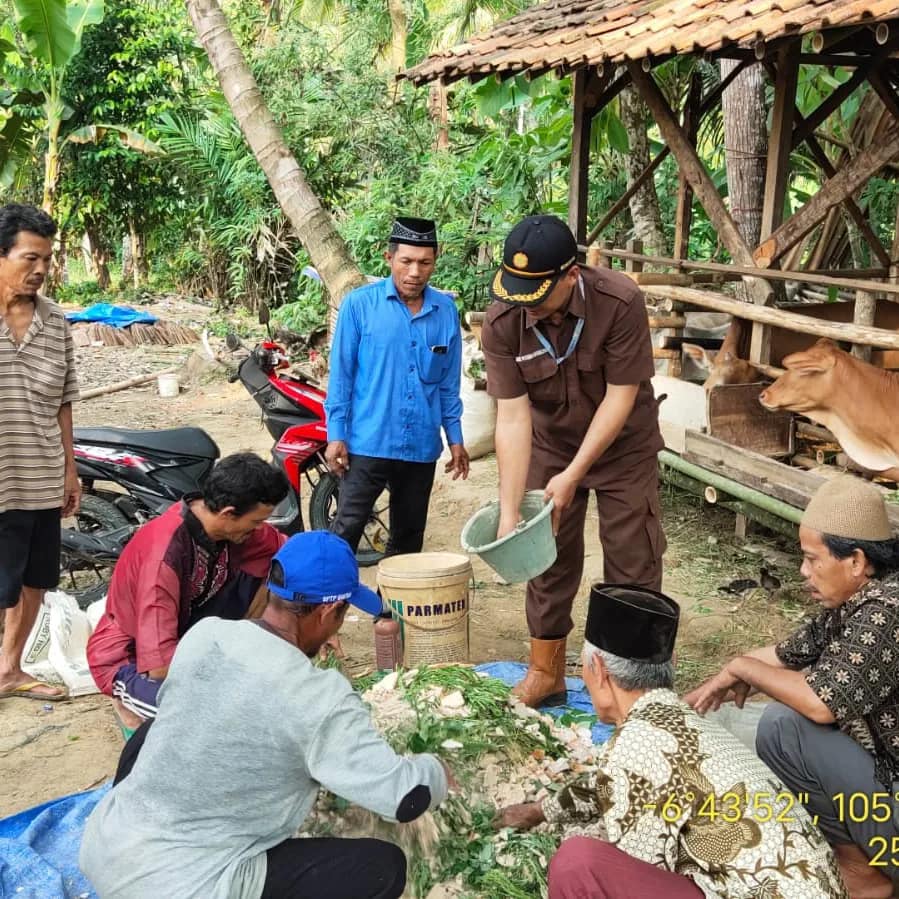 Pelatihan Peternakan Peternak Sapi Di Desa Cilangkap Wanasalam Praktik