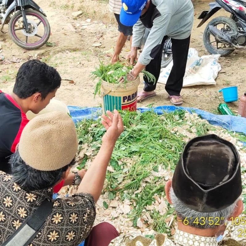 PELATIHAN PETERNAKAN PETERNAK SAPI DI DESA CILANGKAP-WANASALAM PRAKTIK ...