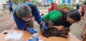 CEGAH RABIES TIM KESEHATAN HEWAN LAKUKAN VAKSINASI RABIES