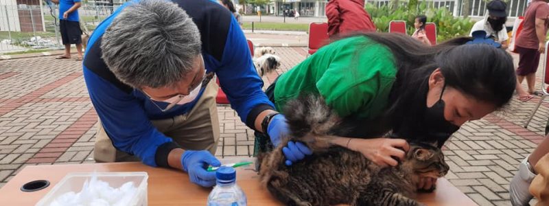 CEGAH RABIES TIM KESEHATAN HEWAN LAKUKAN VAKSINASI RABIES