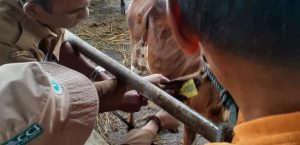 KEPALA DINAS LAKUKAN MONITORING PELAKSANAAN KEGIATAN PENANDAAN & PENDATAAN DI KECAMATAN WARUNGGUNUNG