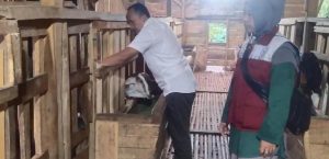 MONITORING KESEHATAN TERNAK KAMBING & DOMBA DI LEFI FARM DESA GURADOG KECAMATAN CURUGBITUNG
