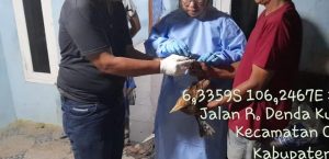 PELAYANAN KESEHATAN HEWAN PEMERIKSAAN KESEHATAN HEWAN DALAM RANGKA PENERBITAN SURAT KETERANGAN KESEHATAN HEWAN ( SKKH ) DI KECAMATAN CIBADAK