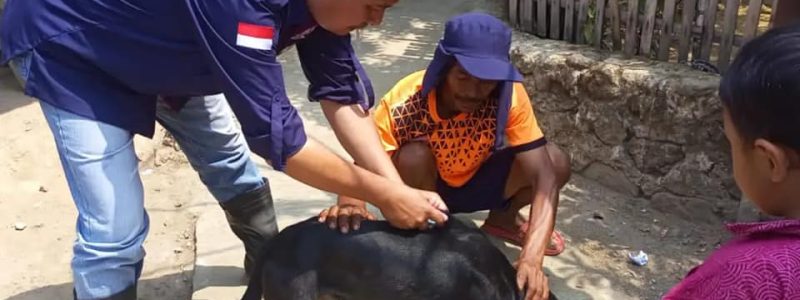 SOSIALISASI DAN VAKSINASI RABIES KECAMATAN CILOGRANG