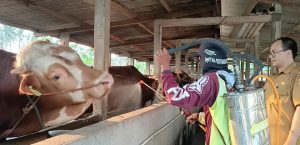 CEGAH PENYAKIT DISNAKESWAN LAKSANAKAN DESINFEKSI KANDANG TERNAK SAPI DI DESA MUARA KECAMATAN WANASALAM