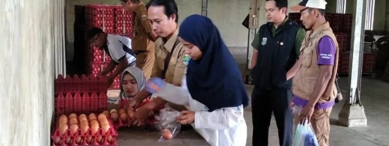 SURVEILANS KEAMANAN PANGAN PENGAMBILAN SAMPEL TELUR & PEMBINAAN SERTIFIKASI NKV BUDIDAYA UNGGAS PETELUR, DESA SUKARAME KECAMATAN SAJIRA