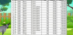 INFORMASI PENJUALAN BIBIT TERNAK KERBAU 2024