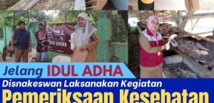 JELANG HARI RAYA IDUL ADHA 1445 HIJRIAH DINAS PETERNAKAN DAN KESEHATAN HEWAN KABUPATEN LEBAK TERUS GENCARKAN PEMERIKSAAN HEWAN KURBAN DI WILAYAH KABUPATEN LEBAK.