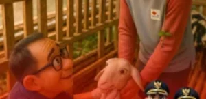 𝙋𝙀𝙇𝘼𝙔𝘼𝙉𝘼𝙉 𝙆𝙀𝙎𝙀𝙃𝘼𝙏𝘼𝙉 𝙃𝙀𝙒𝘼𝙉