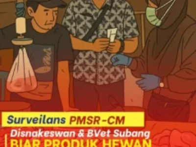 𝙎𝙐𝙍𝙑𝙀𝙄𝙇𝘼𝙉𝙎 𝙋𝙈𝙎𝙍-𝘾𝙈