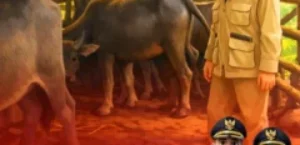 𝙋𝙀𝙇𝘼𝙔𝘼𝙉𝘼𝙉 𝙆𝙀𝙎𝙀𝙃𝘼𝙏𝘼𝙉 𝙃𝙀𝙒𝘼𝙉