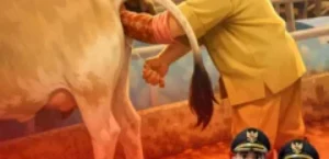 𝙄𝙉𝙎𝙀𝙈𝙄𝙉𝘼𝙎𝙄 𝘽𝙐𝘼𝙏𝘼𝙉 𝘿𝙄 𝙆𝙀𝘾𝘼𝙈𝘼𝙏𝘼𝙉 𝙒𝘼𝙍𝙐𝙉𝙂𝙂𝙐𝙉𝙐𝙉𝙂 & 𝙒𝘼𝙉𝘼𝙎𝘼𝙇𝘼𝙈