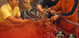 𝙋𝙀𝙇𝘼𝙔𝘼𝙉𝘼𝙉 𝙆𝙀𝙎𝙀𝙃𝘼𝙏𝘼𝙉 𝙃𝙀𝙒𝘼𝙉