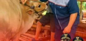 𝙑𝘼𝙆𝙎𝙄𝙉𝘼𝙎𝙄 𝙋𝙈𝙆