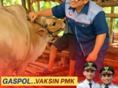 𝙑𝘼𝙆𝙎𝙄𝙉𝘼𝙎𝙄 𝙋𝙈𝙆