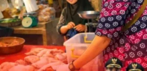 𝙋𝙍𝙊𝘿𝙐𝙆 𝙃𝙀𝙒𝘼𝙉 𝙋𝘼𝙎𝘼𝙍 𝘾𝙄𝙆𝙊𝙏𝙊𝙆 𝘿𝙄𝙋𝘼𝙎𝙏𝙄𝙆𝘼𝙉 𝘼𝙈𝘼𝙉